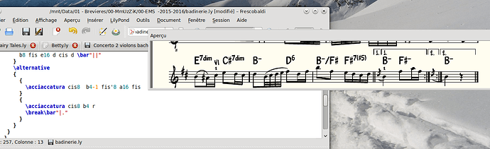 pb petites notes.png